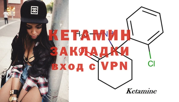 шишки Абаза