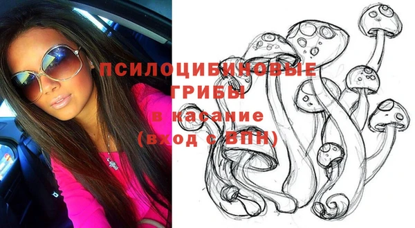 шишки Абаза