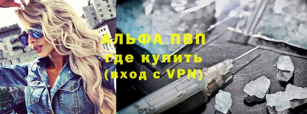 шишки Абаза
