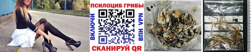 Галлюциногенные грибы Psilocybine cubensis  Цимлянск 