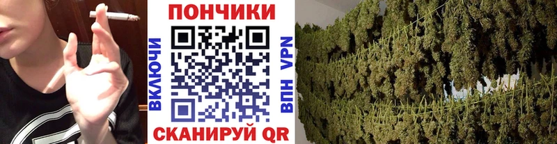 где продают Цимлянск МАРИХУАНА ГИДРОПОН